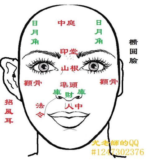 臉部面相|【面相學】面相學：一窺人生奧秘的40個實用口訣，助。